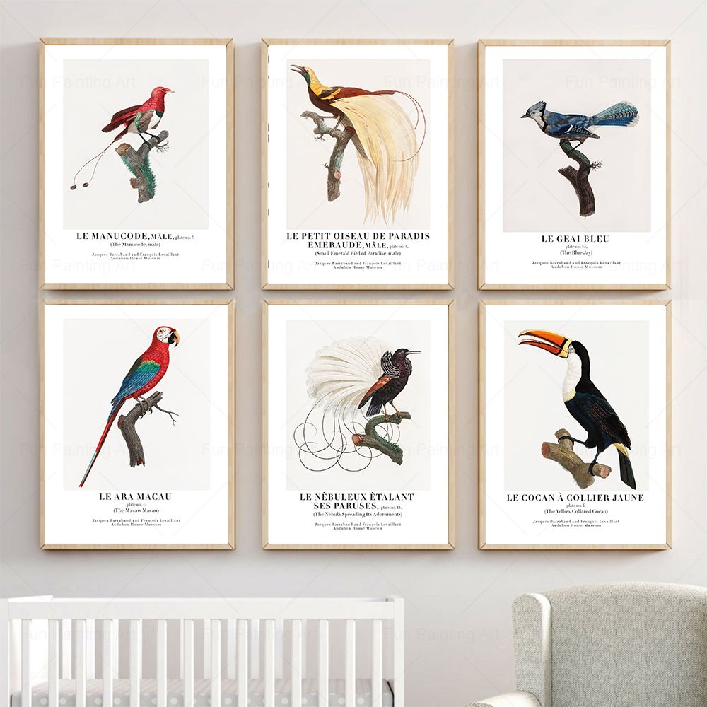 Vintage Paradise Bird Wall Art - Furniture Paradise & Hardware Ghaziabad By Owner recensie en prijs