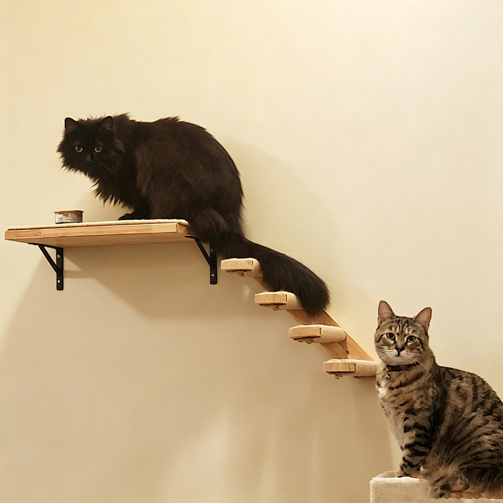 Kattenmeubels Massief Houten H - Furniture Paradise & Hardware Ghaziabad By Owner recensie en prijs