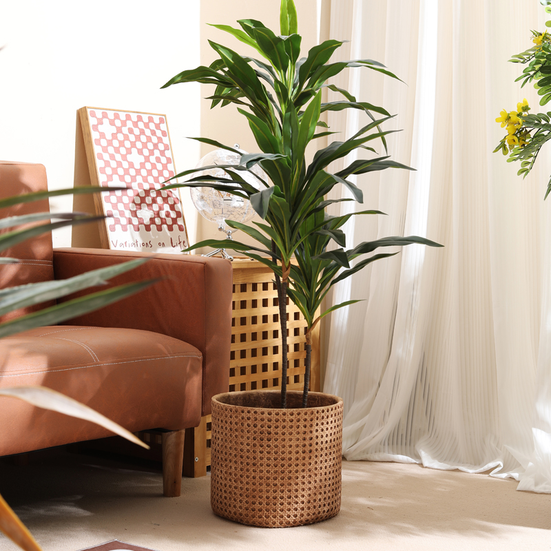 Meubels voor kleine appartemen - Furniture Paradise & Hardware Ghaziabad By Owner recensie en prijs